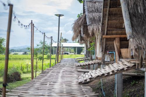 Paddy Fields Haven - Natures Nest