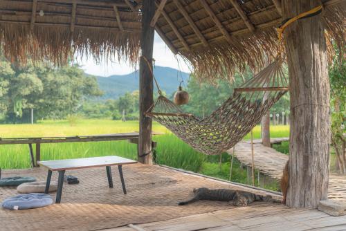 Paddy Fields Haven - Natures Nest