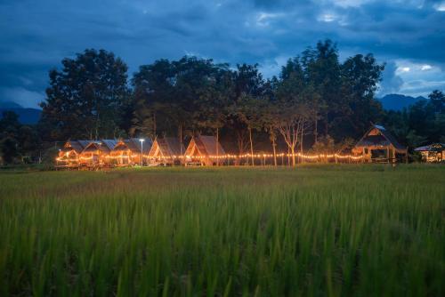 Paddy Fields Haven - Natures Nest