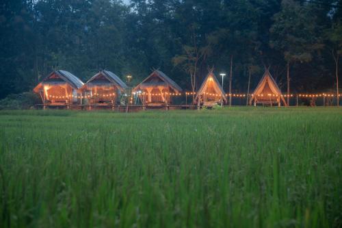 Paddy Fields Haven - Natures Nest