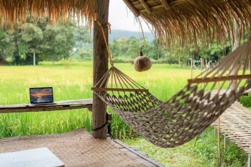 Paddy Fields Haven - Natures Nest