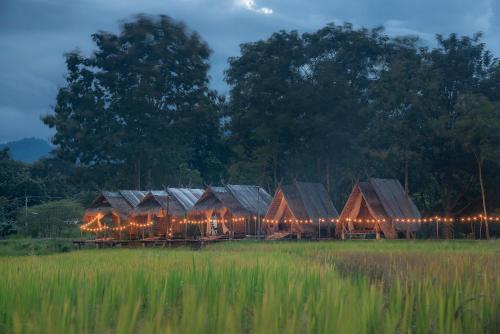 Paddy Fields Haven - Natures Nest