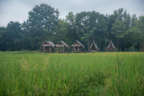 Paddy Fields Haven - Natures Nest