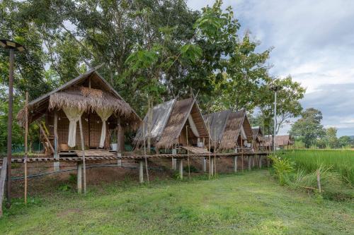 Paddy Fields Haven - Natures Nest