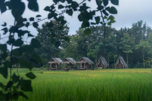 Paddy Fields Haven - Natures Nest