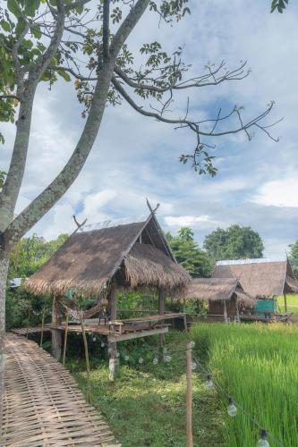 Paddy Fields Haven - Natures Nest