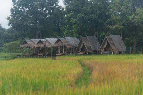 Paddy Fields Haven - Natures Nest