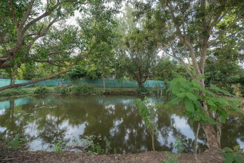 Paddy Fields Haven - Natures Nest