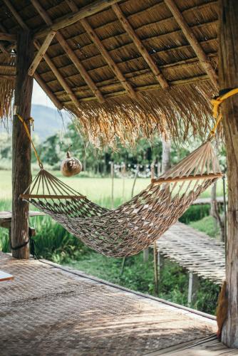 Paddy Fields Haven - Natures Nest