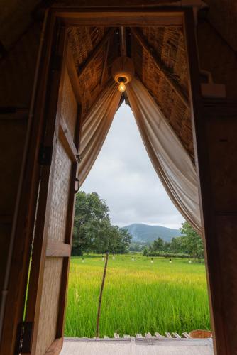 Paddy Fields Haven - Natures Nest