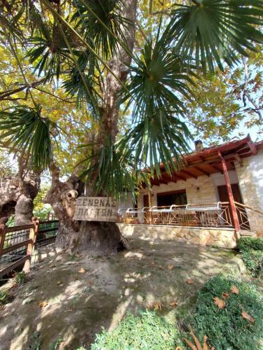  Guesthouse Platon, Pension in Orma bei Metamorfosi