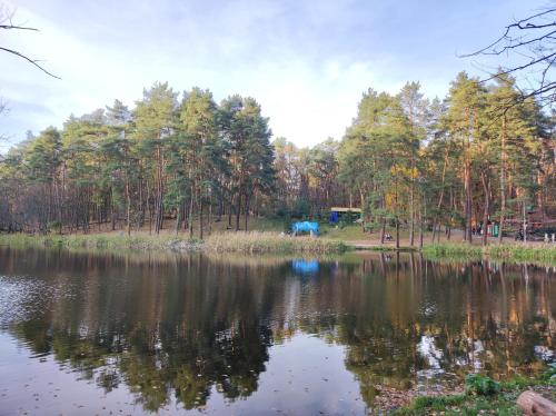 New apartment near metro Vasylkivska - image 11
