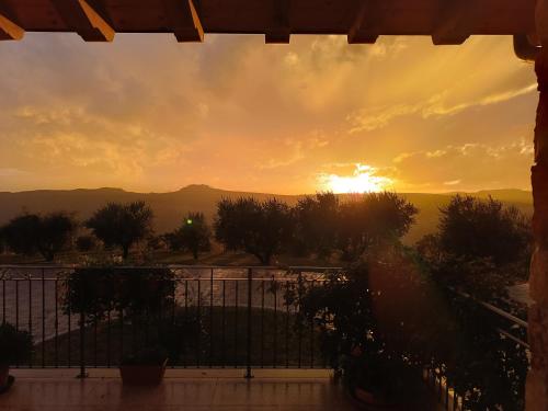 La Collina dei Ciliegi