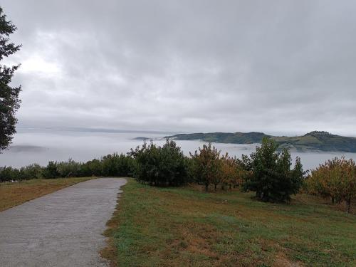 La Collina dei Ciliegi