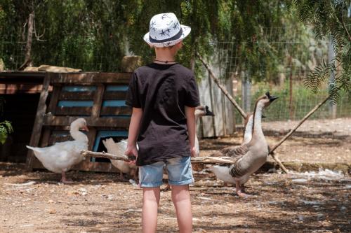 Case Di Latomie - image 10