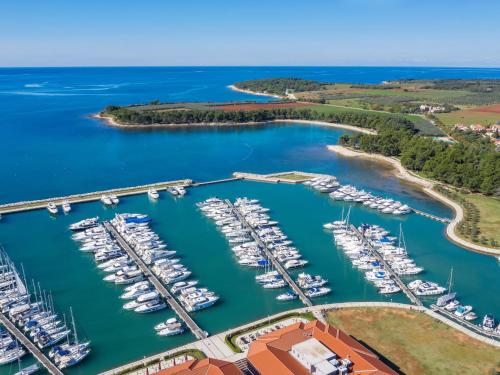 Holiday Home Villa Virtus by Interhome in Karigador