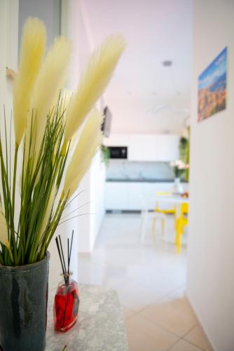 ห้องครัว, D&D Home in เซนต์ อันโตนิโอ อบาเท