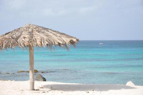 Bližnja znamenitost, YOUR FIRST DAY Hotel on Aruba in Noord