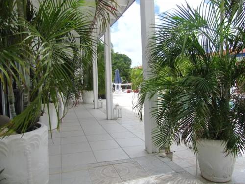 razgled, YOUR FIRST DAY Hotel on Aruba in Noord