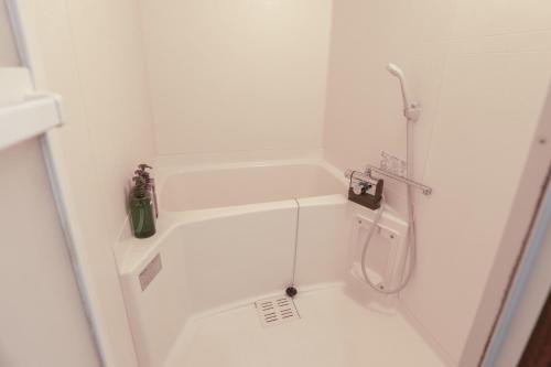 One-Bedroom Apartment image 3
