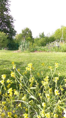 Plain pied au vert