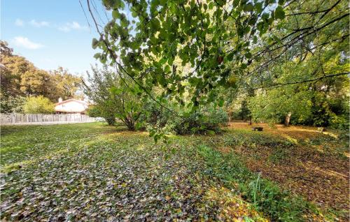 Gorgeous Home In Noaillan With Wi-fi