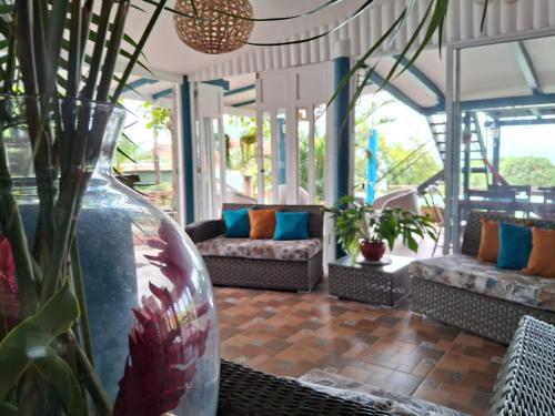 Dārzs, Hostel SaltWater in San Juan Del Sur