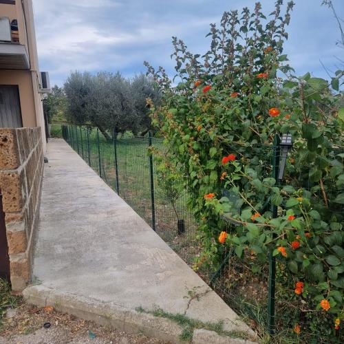 Appartamento con Giardino, a 10 minuti dal Mare "PE"