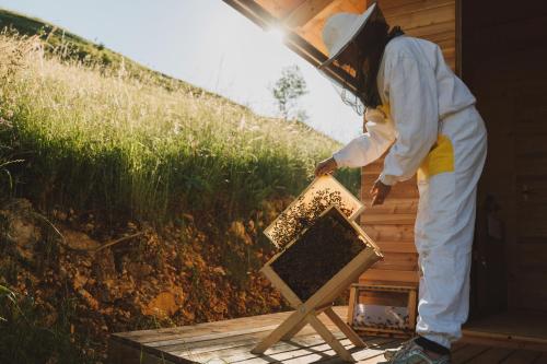 Tourist Farm Pr'Dovar - image 11