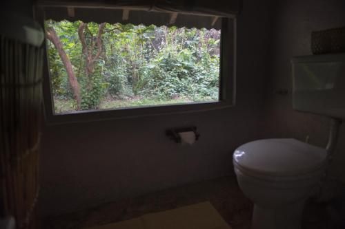 503368258 Tiger Tops Tharu Lodge