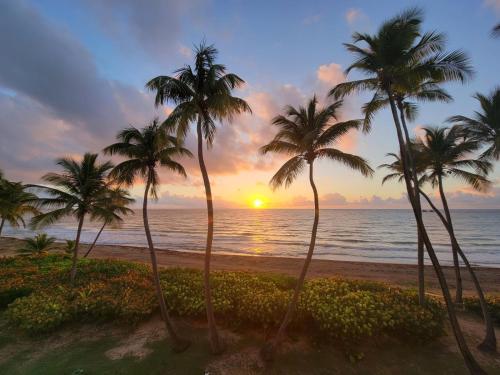BV103 - Amazing Oceanfront Condo steps from beach in Humacao