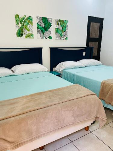 Pedregal Suites - Marina and Downtown in Cabo San Lucas, Mexico