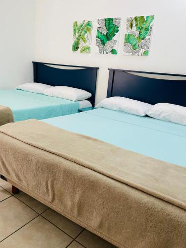 Pedregal Suites - Marina and Downtown in Cabo San Lucas, Mexico
