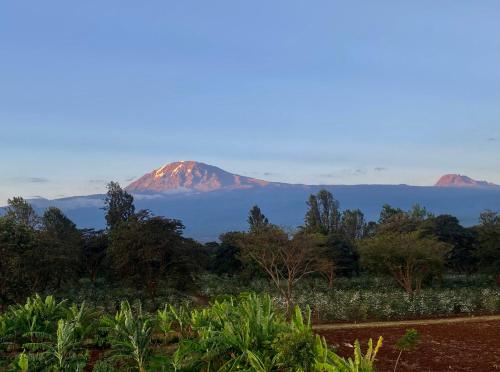 Mount Kilimanjaro 360 view Cottage