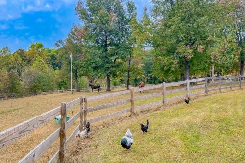 The Overlook Farm The Overlook Farm