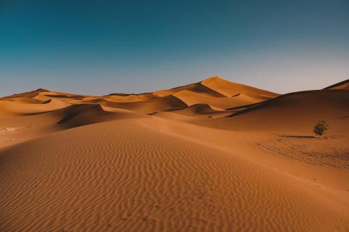 Mhamid Sahara Camp Activities - Le Chant du Sable