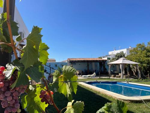  Casa Rural El Miajon in El Campo