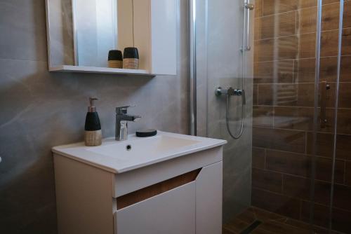 Apartmani Milan in Temerin