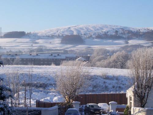 Sunnyside B&B - image 9