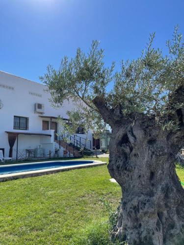 Casa Rural El Miajon Apartamentos in Zorita