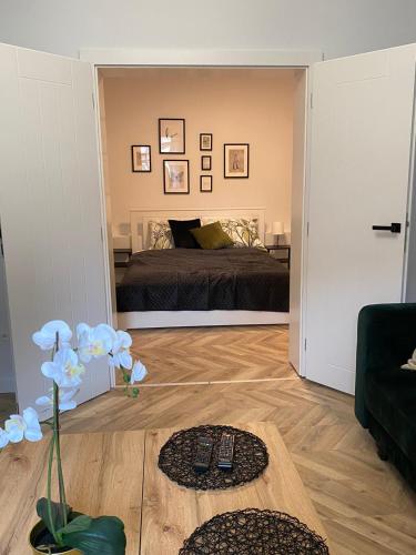Apartament Frezja