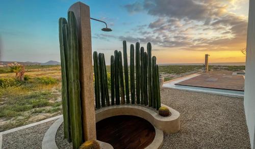 Ozun in Todos Santos, Mexico