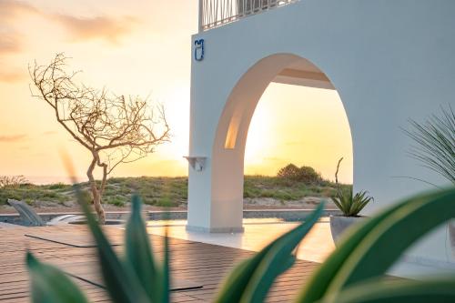 Ozun in Todos Santos, Mexico