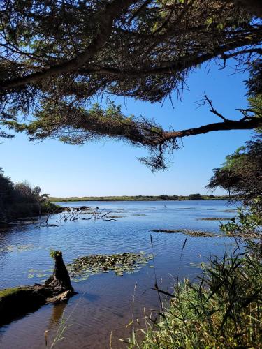 Tranquil Tides- Cape Meares Lakefront Beach Home thumb 3