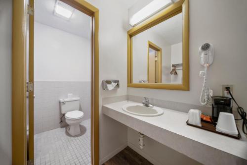 Executive Inn