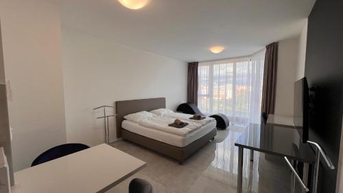 Air conditioned 1 room Apartment Vienna Gate, 3, Братислава (фото 8)