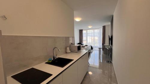 Air conditioned 1 room Apartment Vienna Gate, 3, Братислава (фото 4)