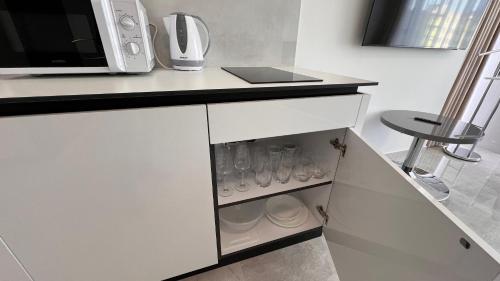 Air conditioned 1 room Apartment Vienna Gate, 2, Bratislava (Foto 6)