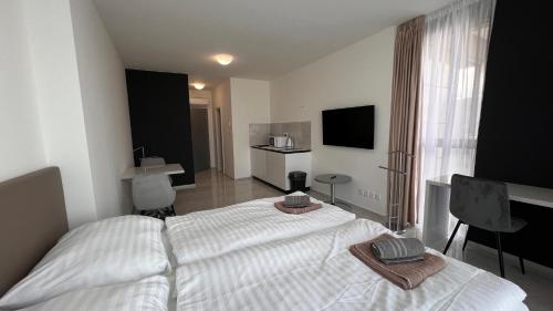 Air conditioned 1 room Apartment Vienna Gate, 2, Bratislava (Foto 10)