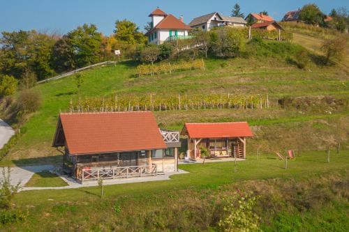 Vineyard Cottage Grajska Kašča - Happy Rentals